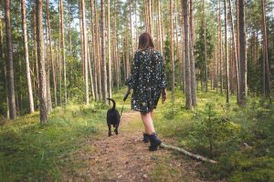 dog, pet, nature, forest, landscape, animal, walk, autumn, cute, walking, retriever, leaves, female, atmosphere, leisure, outdoors