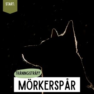 morker16