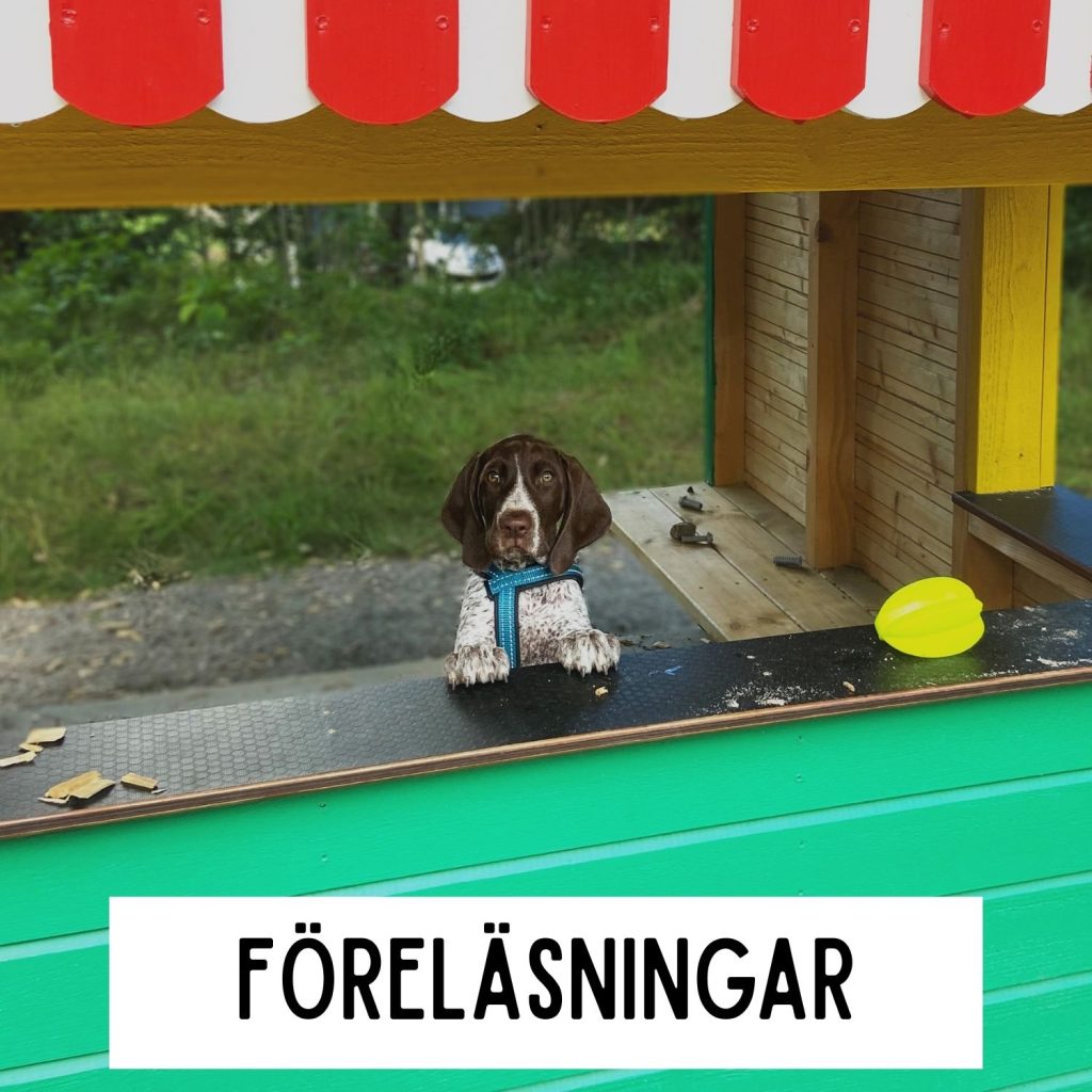 kopia av inkallning 28